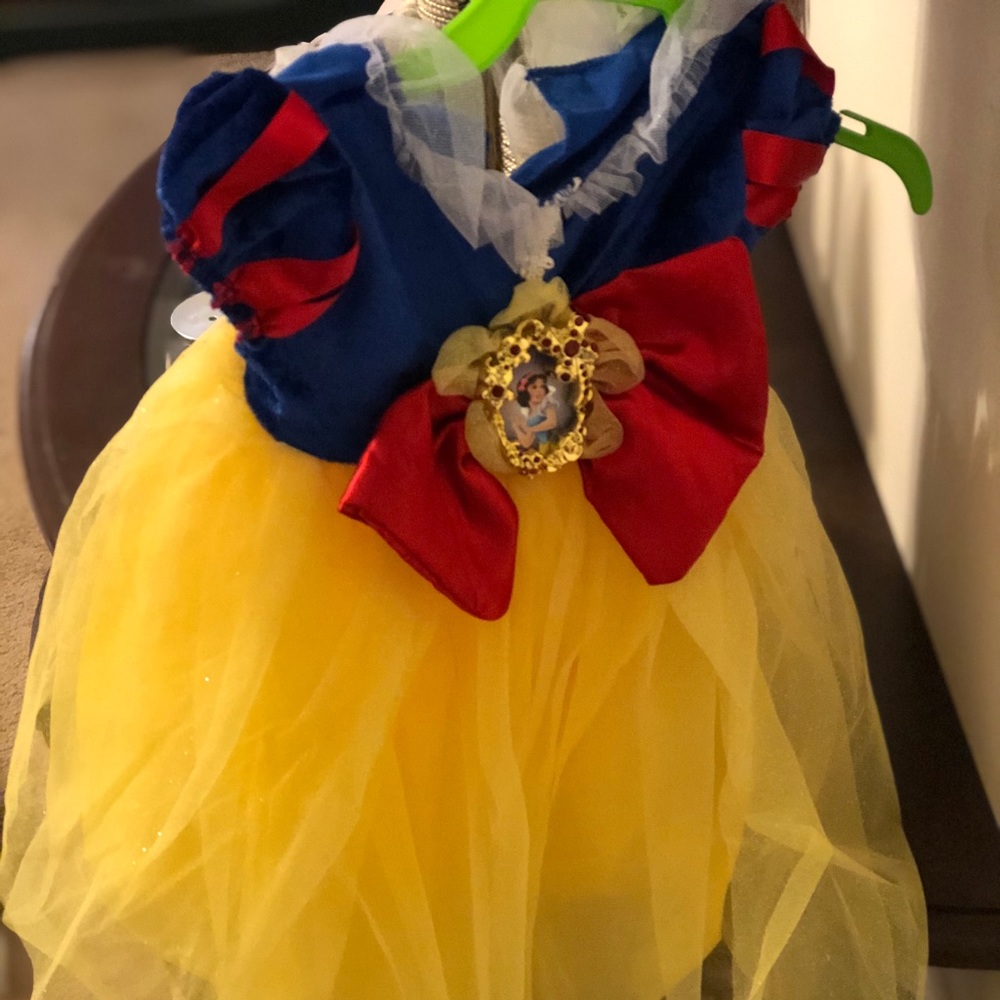 Disney princess dress